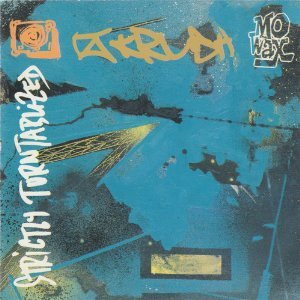 STRICTLY TURNTABLIZED / DJ KRUSH