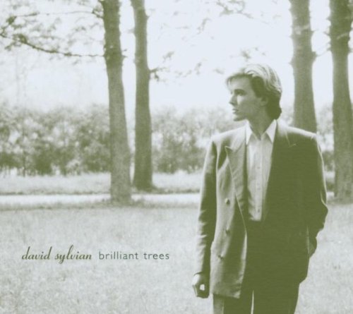 Brilliant Trees / David Sylvian
