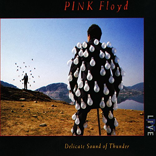 Delicate Sound Of Thunder / Pink Floyd
