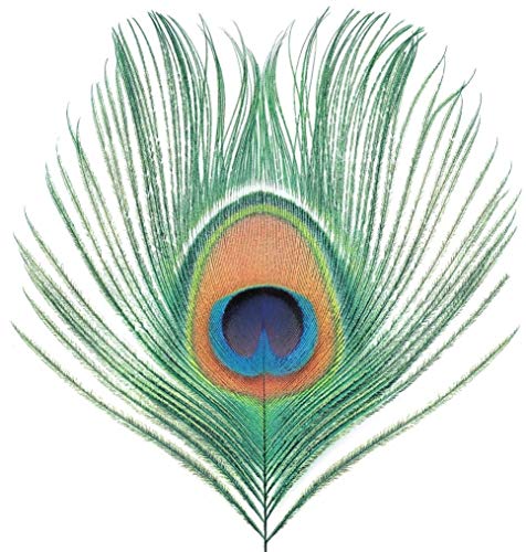 Apple Venus Volume 1 / XTC