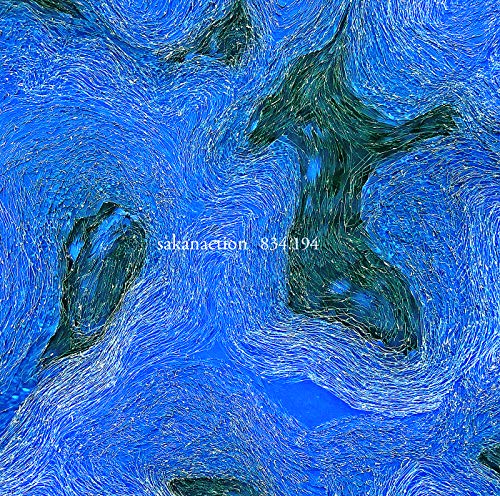 834.194 / サカナクション