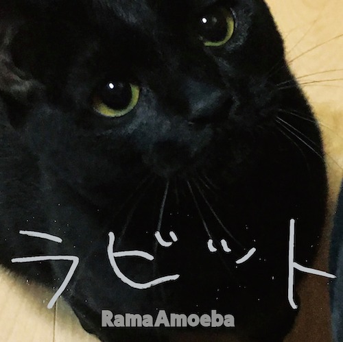 ラビット / Rama Amoeba